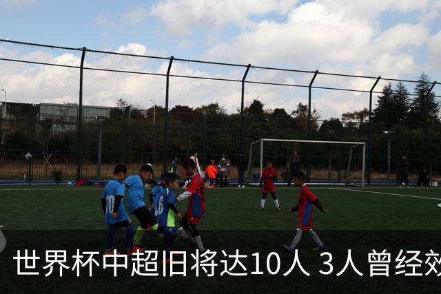世界杯中超旧将达10人 3人曾经效力国安海港两将