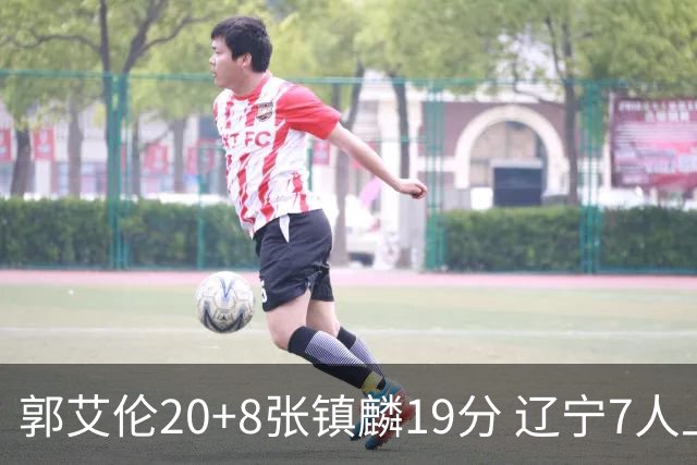 郭艾伦20+8张镇麟19分 辽宁7人上双力克深圳